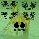 Vinyl Aufkleber Set "Pferdegesicht" – Realistische Augen & Nüstern für Holzpferde (Wetterfest)