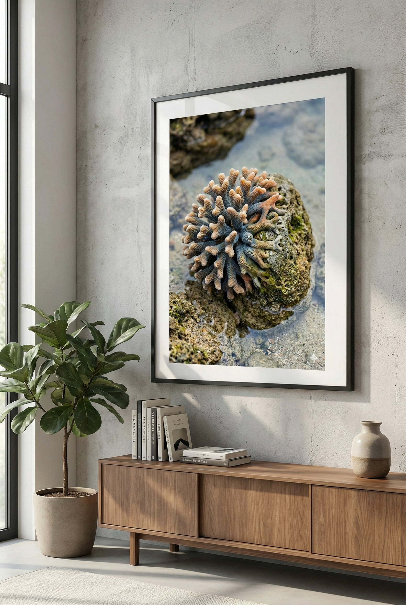 Poster "Pastell Koralle im Gezeitenpool" – Maritime Naturfotografie