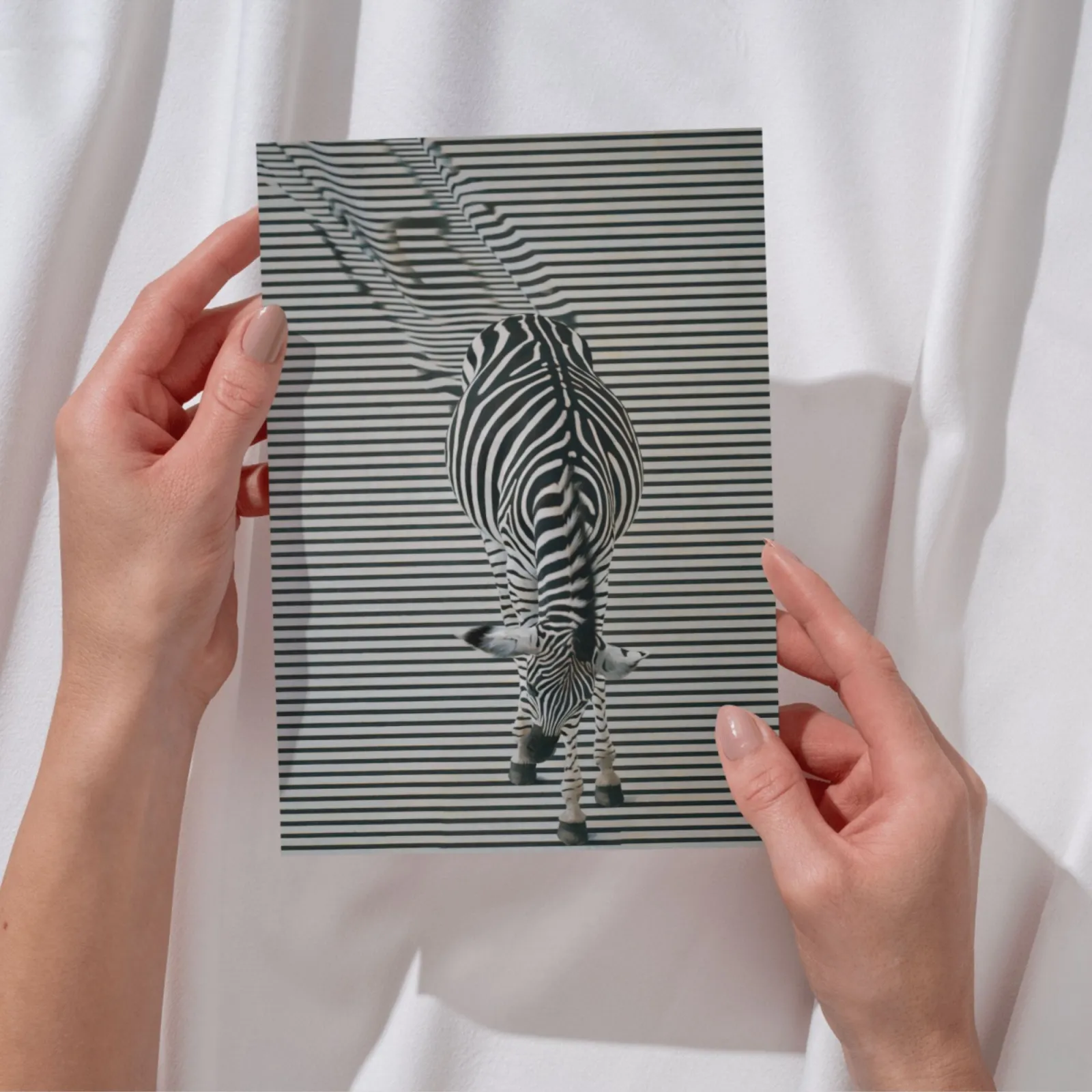 Zebra Optische Täuschung Kunstdruck Schwarz Weiß